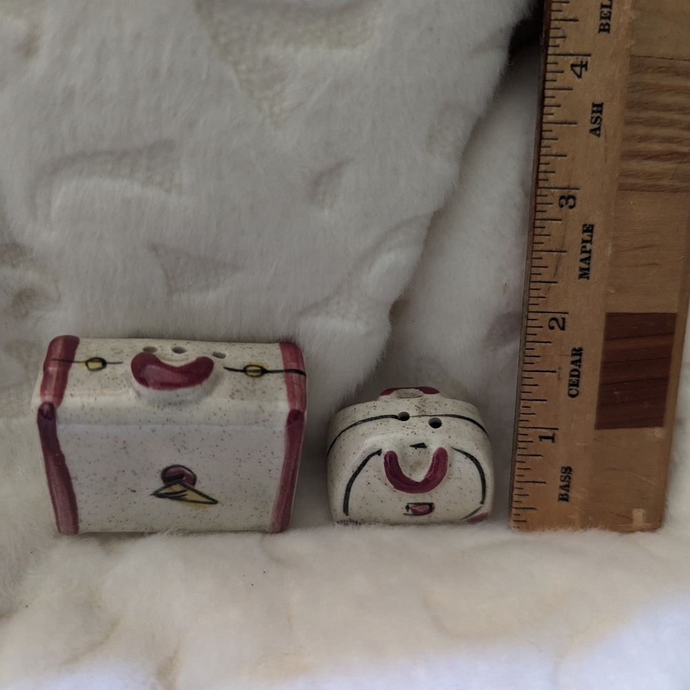 Vintage salt and pepper luggage